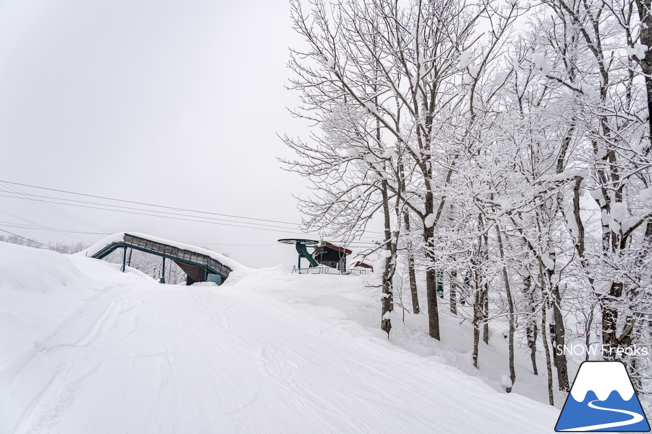 かもい岳国際スキー場｜今シーズン誕生した『山道コース』で、４年ぶりに西ゲレンデへ！懐かしい景色の復活に心弾む１日！